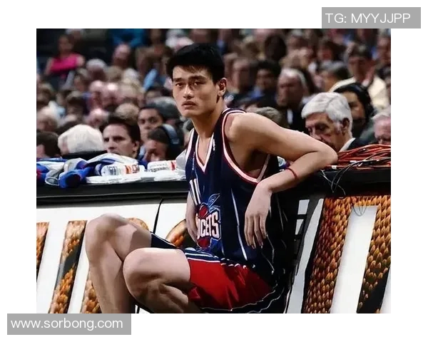 姚明蘑菇头的独特魅力与篮球生涯的精彩交织探讨