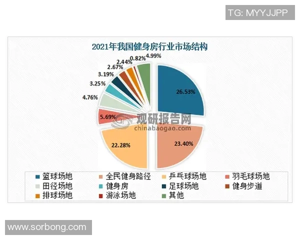 杭州乒乓球队速度表现数据分析揭示训练效果与比赛策略的关系 杭州乒乓球队速度表现数据分析揭示训练效果与比赛策略的关系