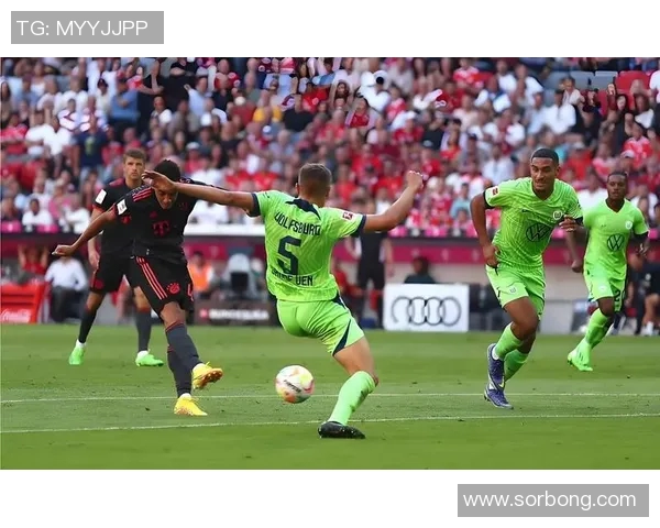 沃尔夫斯堡主场大胜,压力加剧德甲保级形势 沃尔夫斯堡主场大胜,压力加剧德甲保级形势