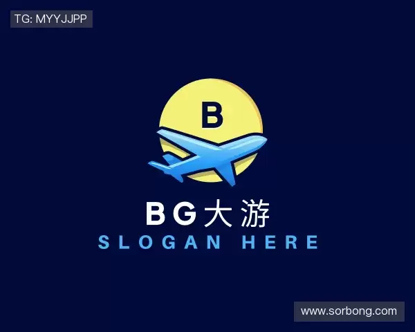 了解BG大游