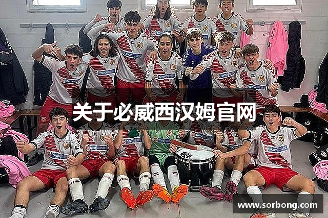 关于必威西汉姆官网